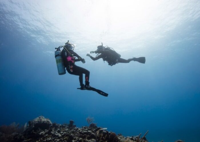 zwei Taucher im Roten Meer