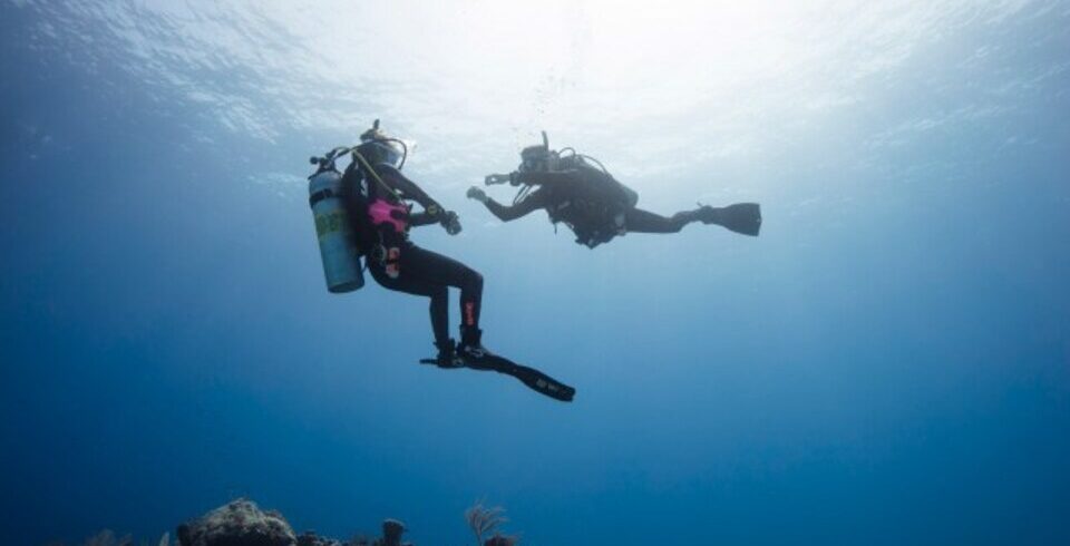 zwei Taucher im Roten Meer