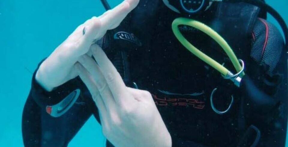 Taucher-Handzeichen – OK Signal unter Wasser im Roten Meer