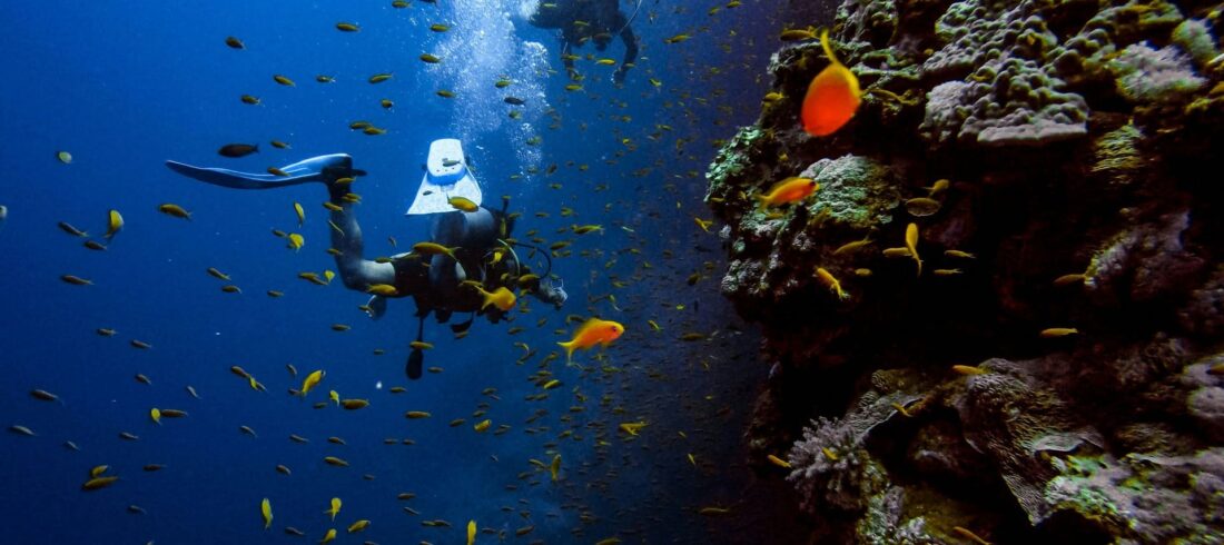 Tauchplätze Hurghada – Tauchern erkunden Korallenriff im Roten Meer