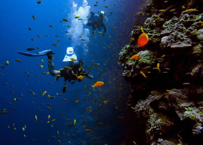 Tauchplätze Hurghada – Tauchern erkunden Korallenriff im Roten Meer