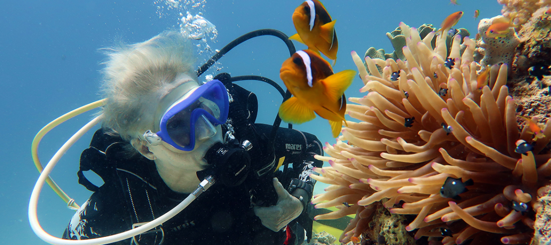 Tauchen Hurghada oder Tauchen in Sharm?