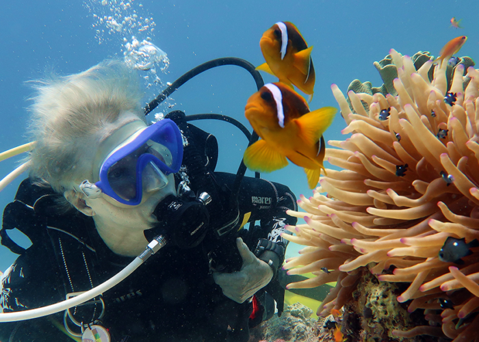 Tauchen Hurghada oder Tauchen in Sharm?