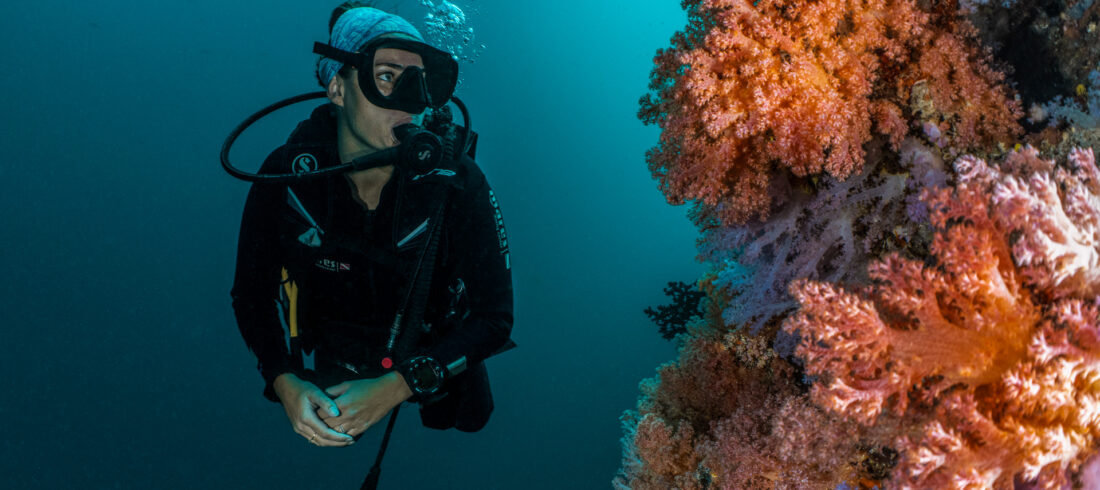 PADI Open Water Kurs In Hurghada