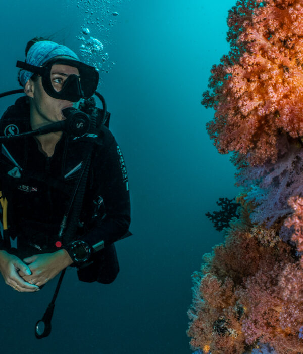 PADI Open Water Kurs In Hurghada