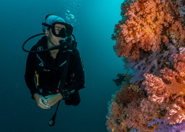 PADI Open Water Kurs In Hurghada