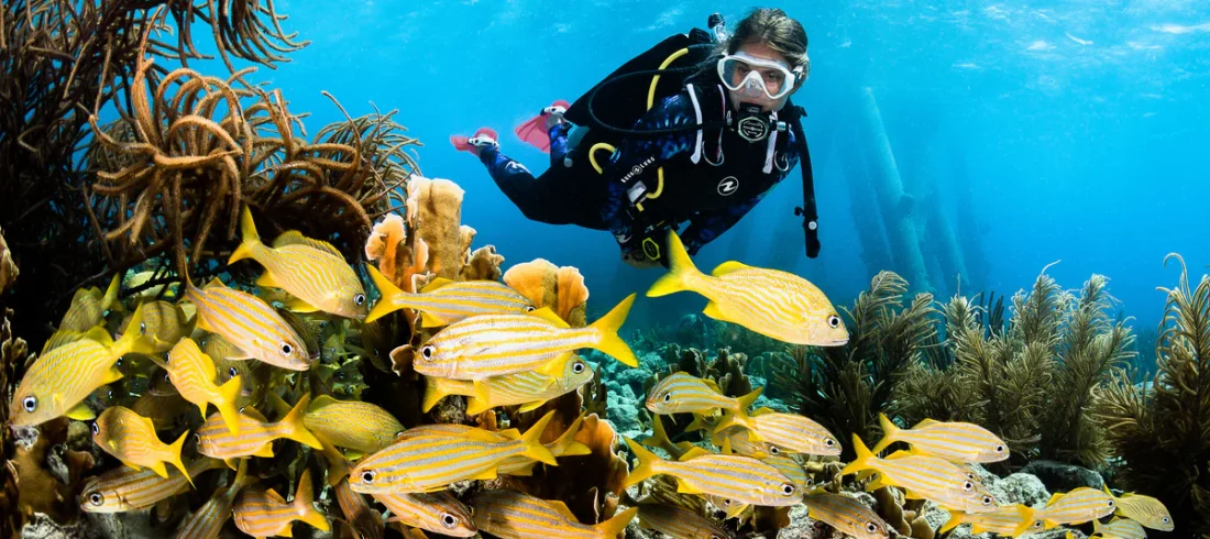 Preise für Tauchen in Hurghada