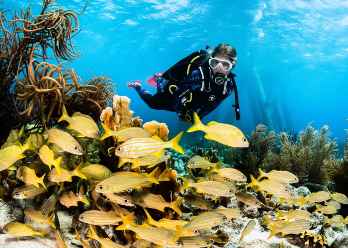 Preise für Tauchen in Hurghada