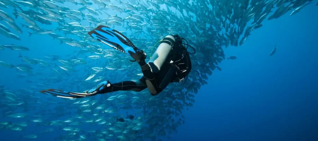 PADI Advanced Open Water Kurs