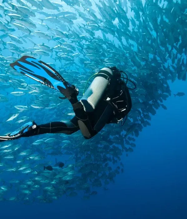 PADI Advanced Open Water Kurs