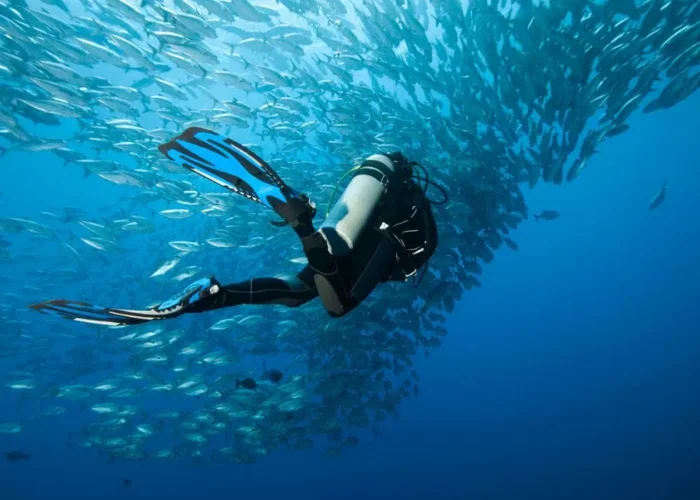 PADI Advanced Open Water Kurs