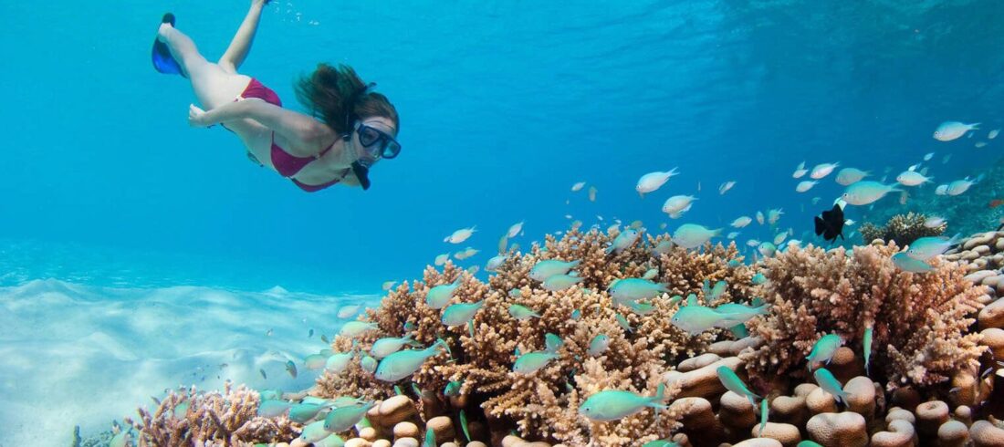 Schnuppertauchen Hurghada – Erster Atemzug im Roten Meer