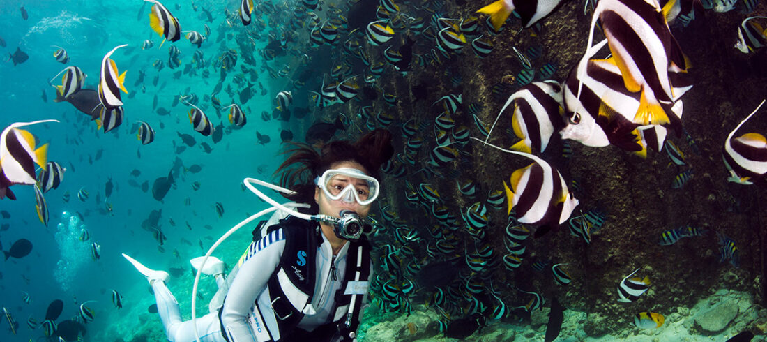 PADI Open Water Kurs Hurghada – Open Water Diver mit DiveNemo