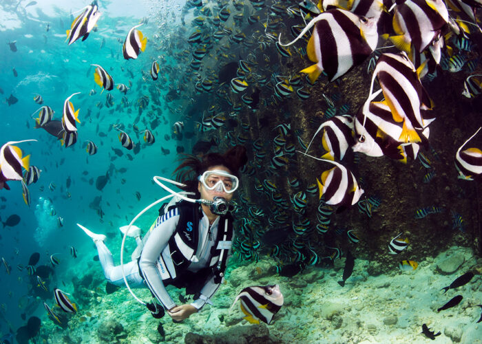 PADI Open Water Kurs Hurghada – Open Water Diver mit DiveNemo