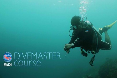 PADI Divemaster Course in Hurghada – Professional scuba training in the Red Sea with Divenemo Diving instructors