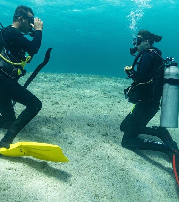 Cours de plongée rescue à Hurghada