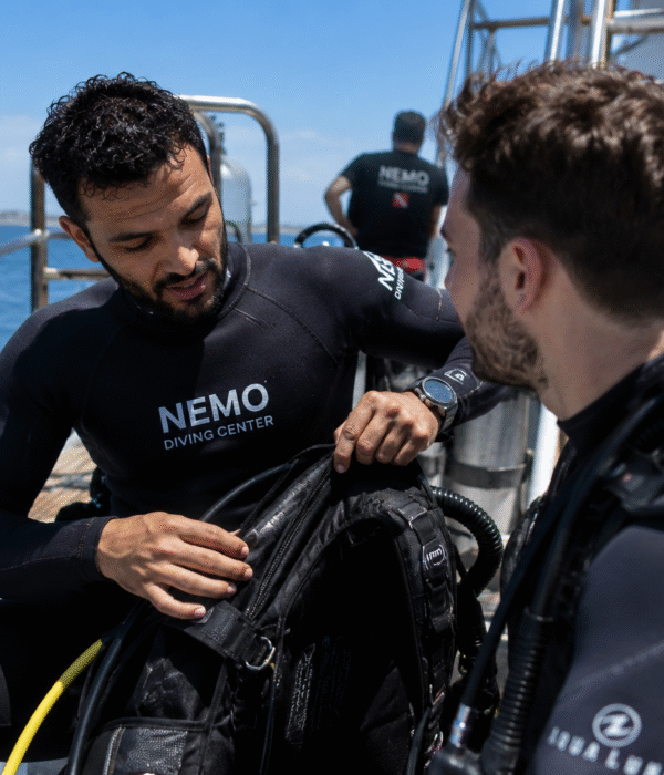Cours PADI Refresher à Hurghada - Dive Nemo