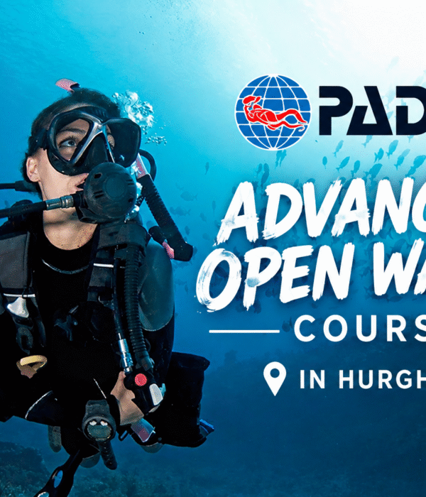 PADI Advanced Open Water Course In Hurghada