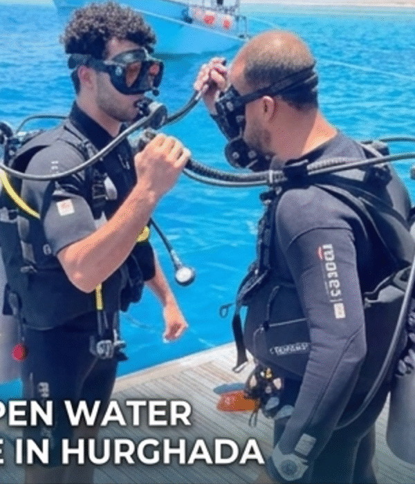 PADI Open Water Course In Hurghada