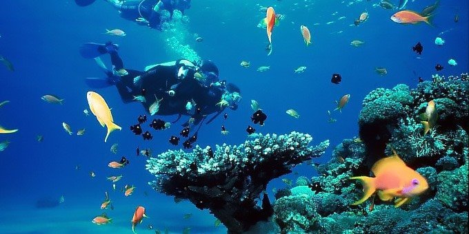 Try Dive Hurghada