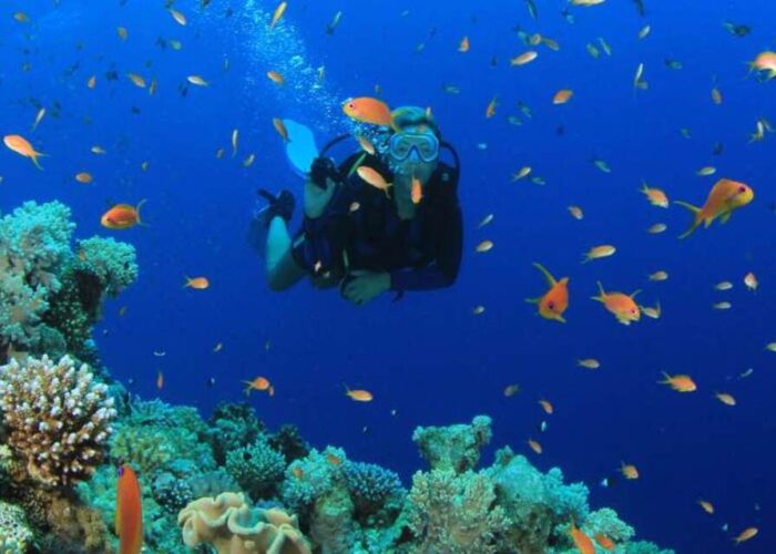 Explore the Depth with PADI Open Water