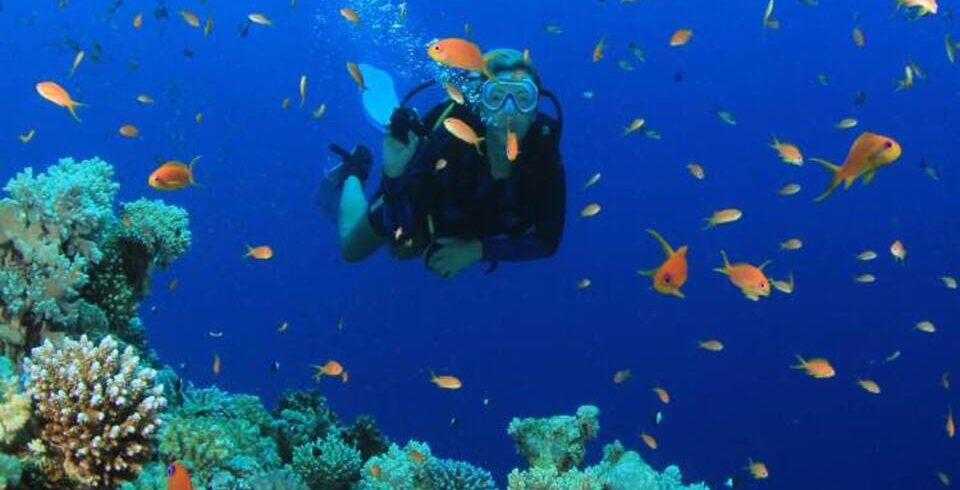 Explore the Depth with PADI Open Water