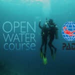 PADI Open Water Diver Course in Hurghada – Student diver training with instructor in the Red Sea with Divenemo Diving