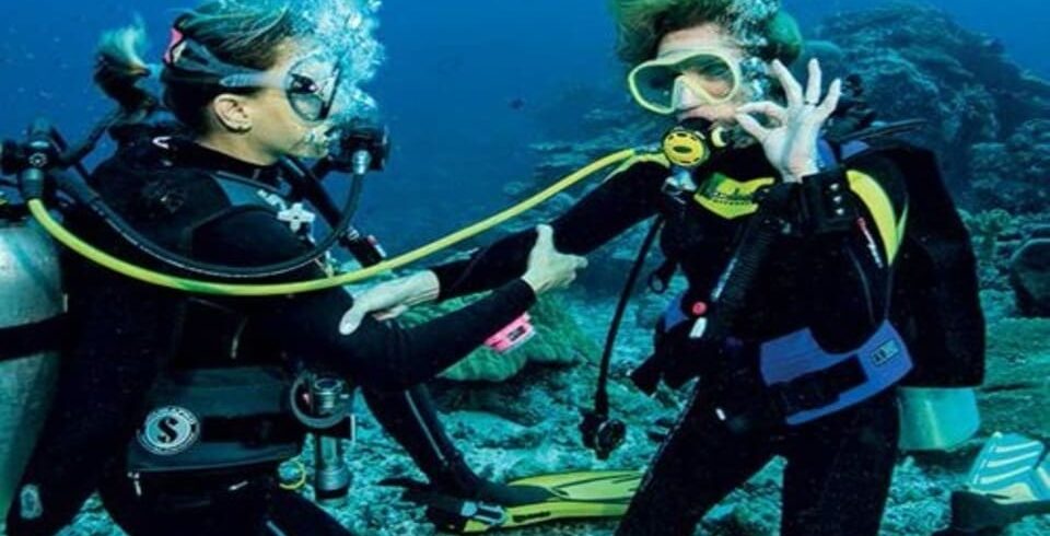 Daily Diving in Hurghada – Explore the Red Sea with DiveNemo