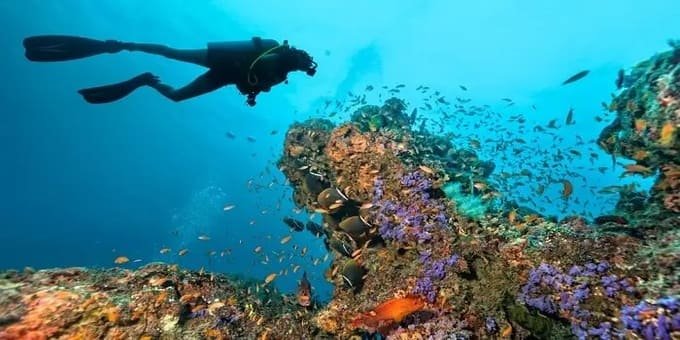 Dive Sites in Hurghada