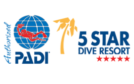 PADI 5 Stars Dive nemo