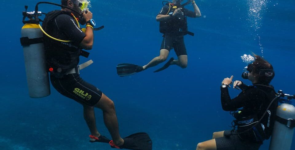 Scuba Diving in Hurghada – The Ultimate Red Sea Diving Experience with DiveNemo