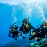 2 Days Diving In Hurghada with Divenemo