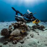 3 Days Diving In Hurghada With Divenemo