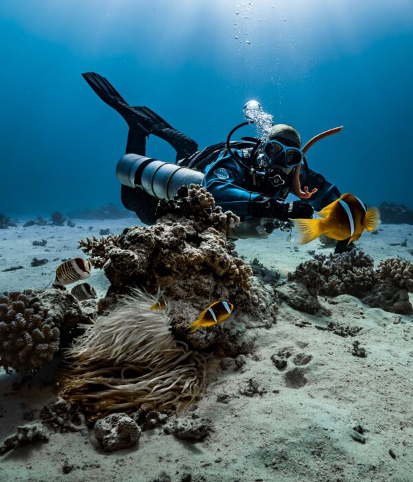 3 Days Diving In Hurghada With Divenemo