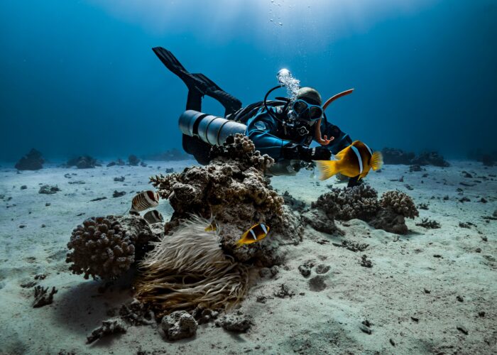 3 Days Diving In Hurghada With Divenemo