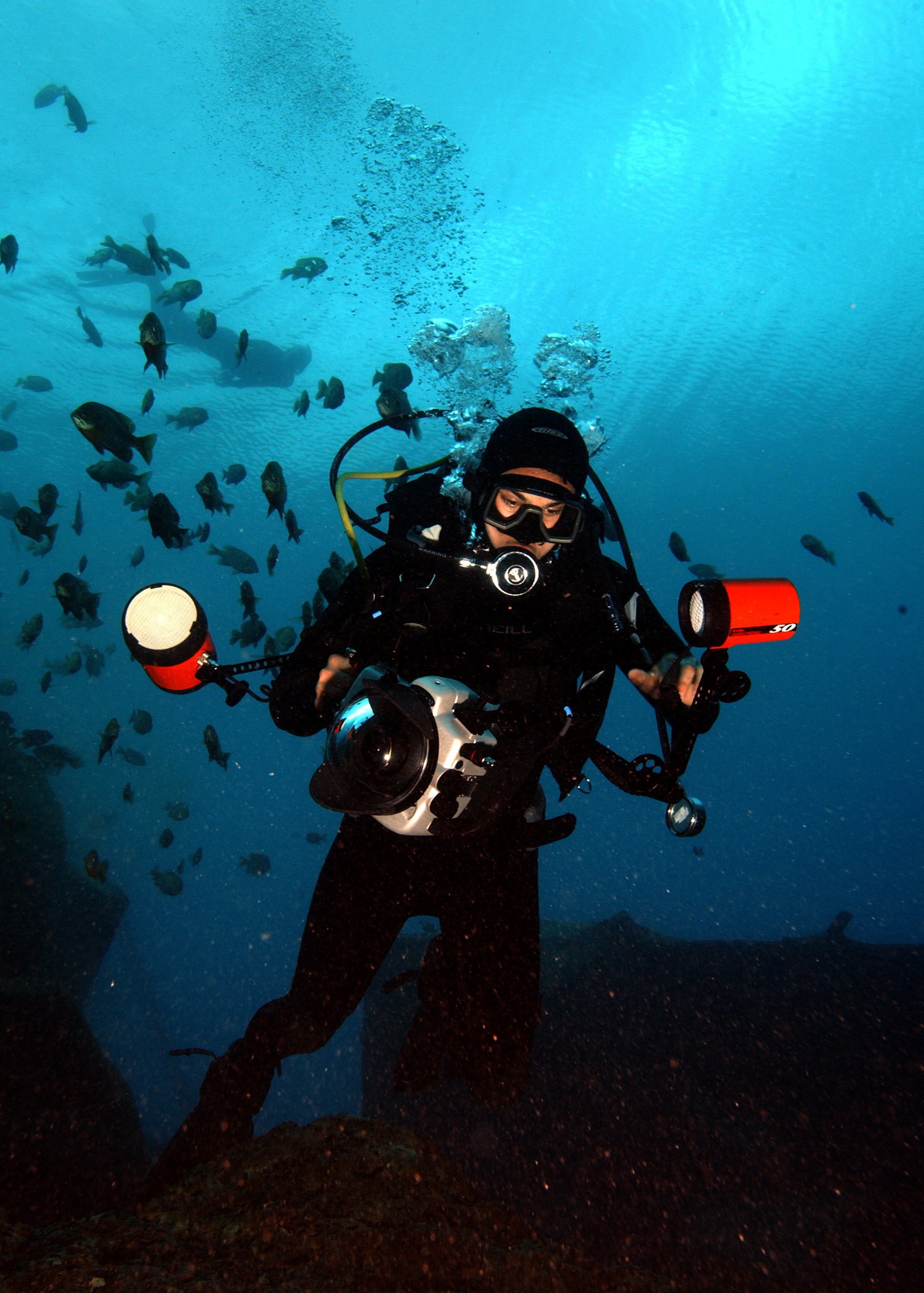 8 Days Diving In Hurghada With Divenemo