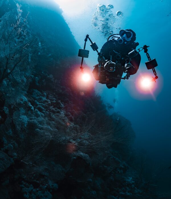 Diver with His camera in the blue Deep