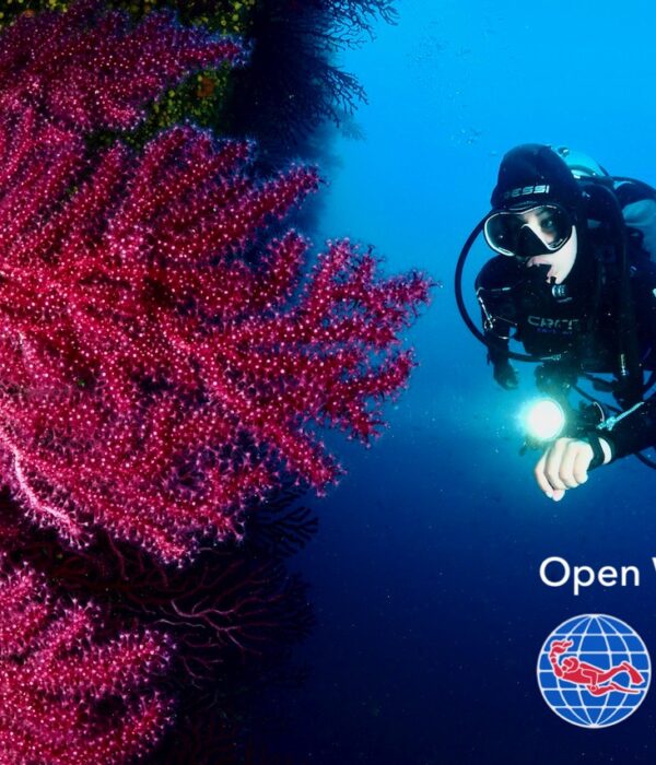 PADI Open Water Diver Course in Hurghada