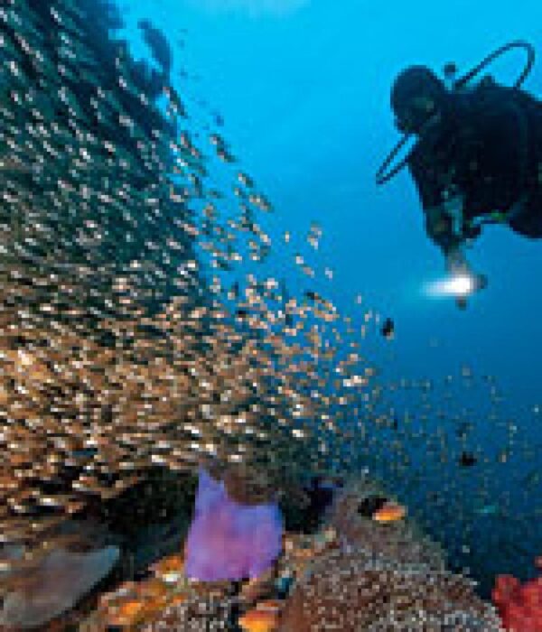 PADI Refresher Course Hurghada