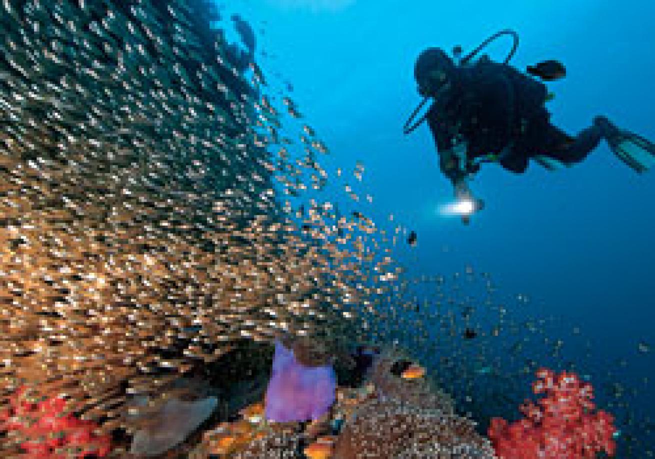 PADI Refresher Course Hurghada
