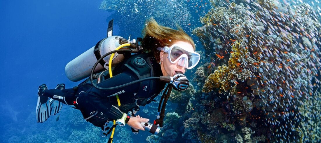 Padi open water diver course