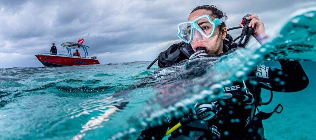 OWD PADI Certificate