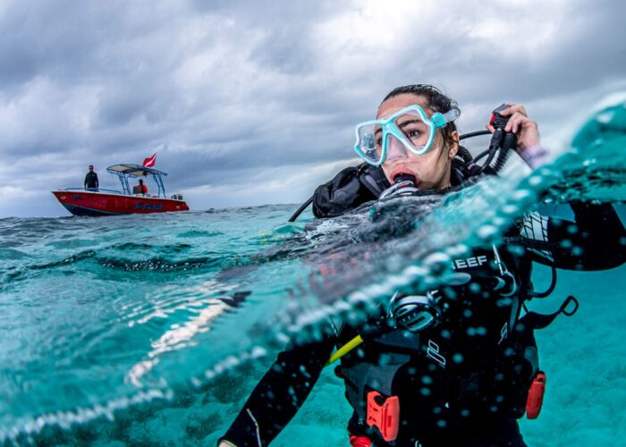 OWD PADI Certificate