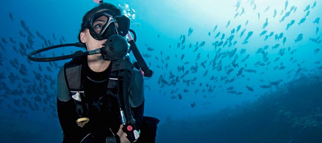 Red Sea Diving Trips