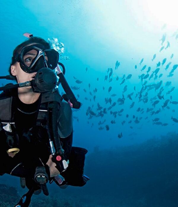 PADI Advanced Open Water Diver Course In Hurghada
