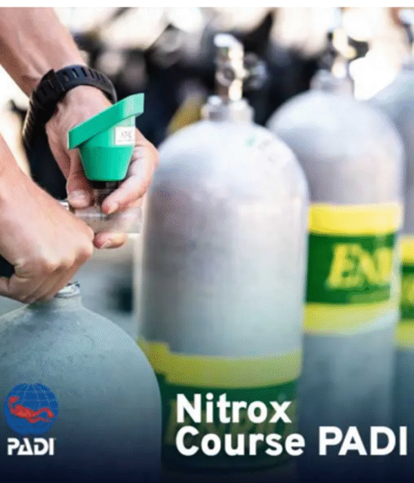 PADI Enriched Air Diver Nitrox Course in Hurghada